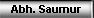 Abh. Saumur